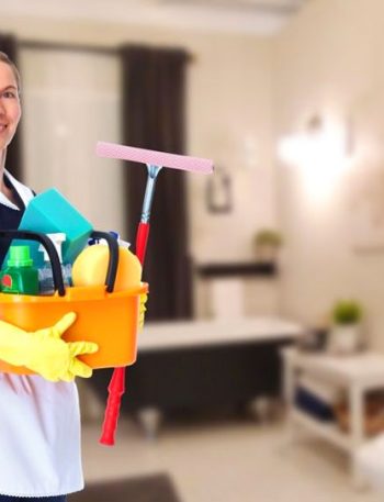 The Squeaky-Clean Specialist Life as a Housekeeper