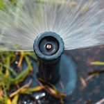 Thirsty Plants? Trust Our Sprinkler Repair Brilliance